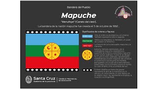 La bandera del Pueblo Mapuche la Wenufoye [upl. by Gwyneth]